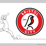 Bristol City Football Club