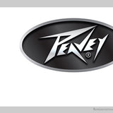 Peavey Classic Amp