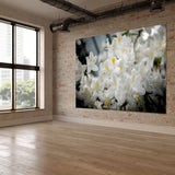 white cherry
