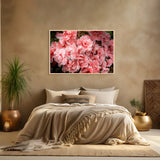 pink azalea
