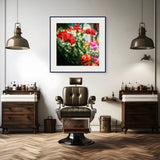 red geranium