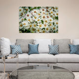 white daisies