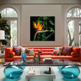 Bird of Paradise