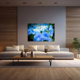 blue hydrangea