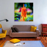 botanical orange