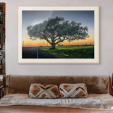 Tree by the side of a road at dusk