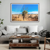 american desert
