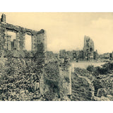 Arras, la végétation dans les ruines des Grands Vieziers en 1918-Imagesdartistes