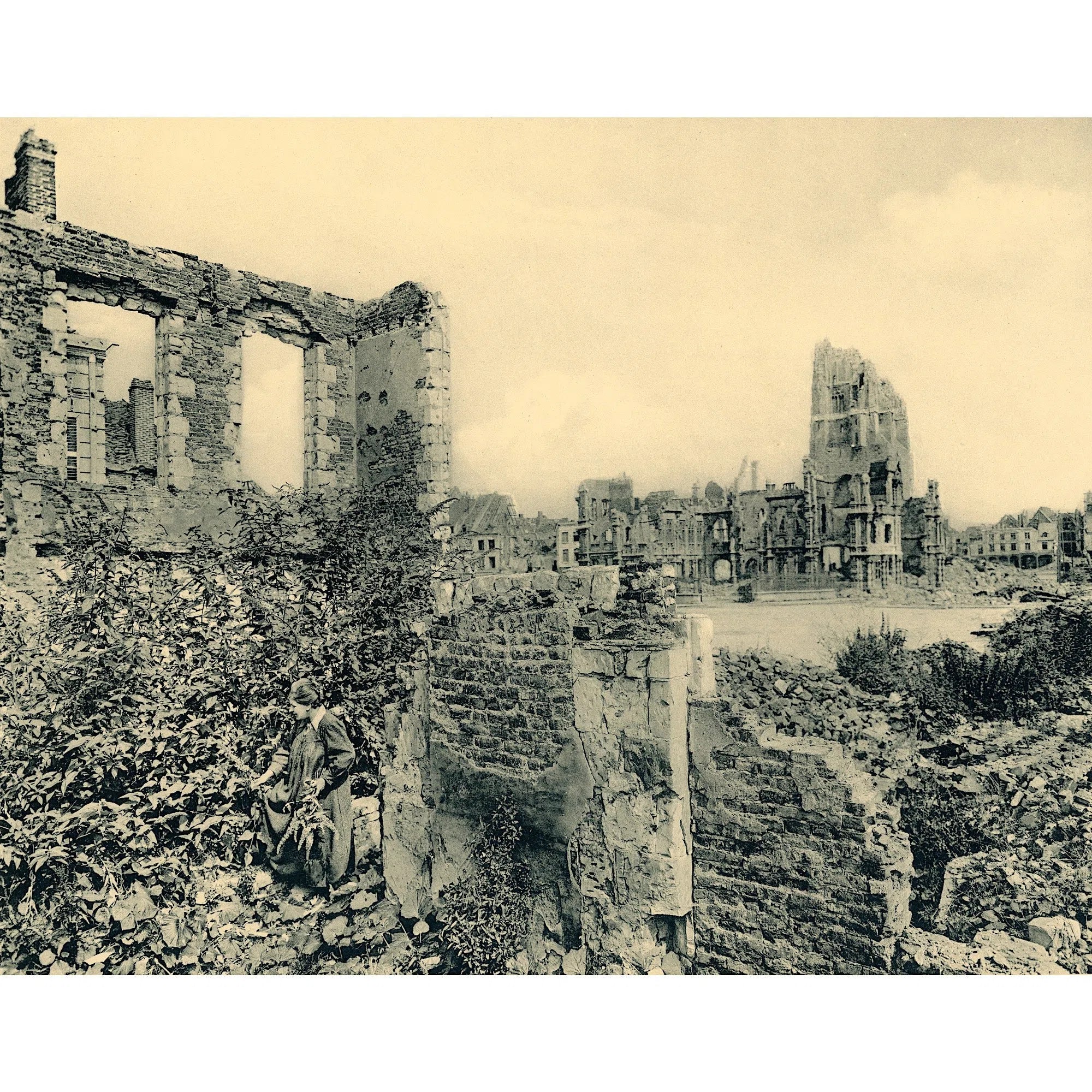 Arras, la végétation dans les ruines des Grands Vieziers en 1918-Imagesdartistes