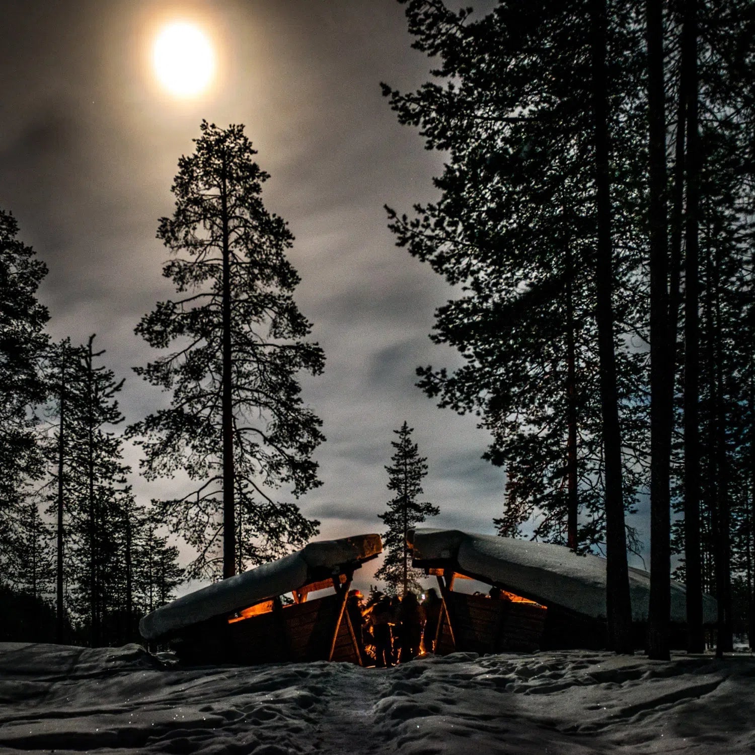 Bivouac nocturne en Finlande-Imagesdartistes
