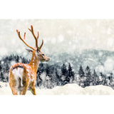 Cerf dans la neige-Imagesdartistes