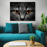 cat eyes