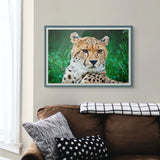 Spotted Cheetah