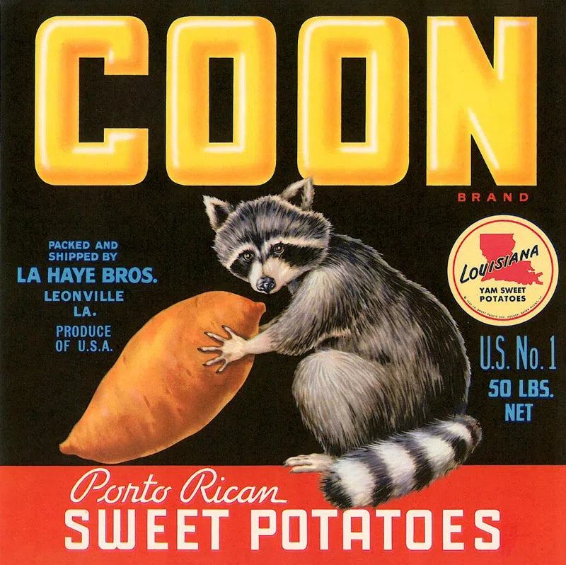 COON, Porto Rican sweet potatoes-Imagesdartistes