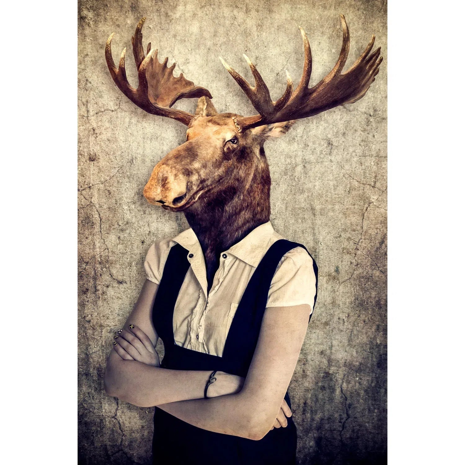 Costumé dans son élan-Imagesdartistes
