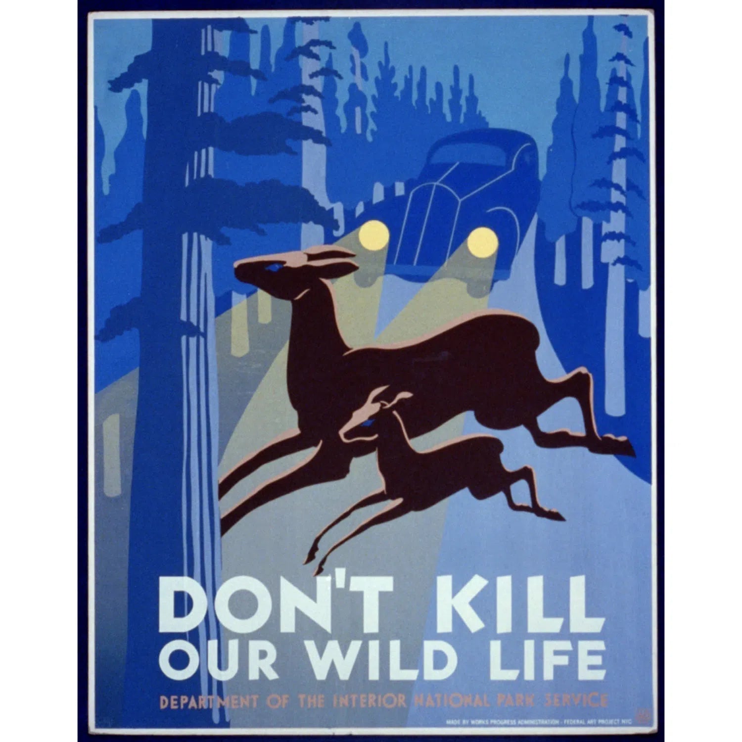 Don't kill our wild life-Imagesdartistes