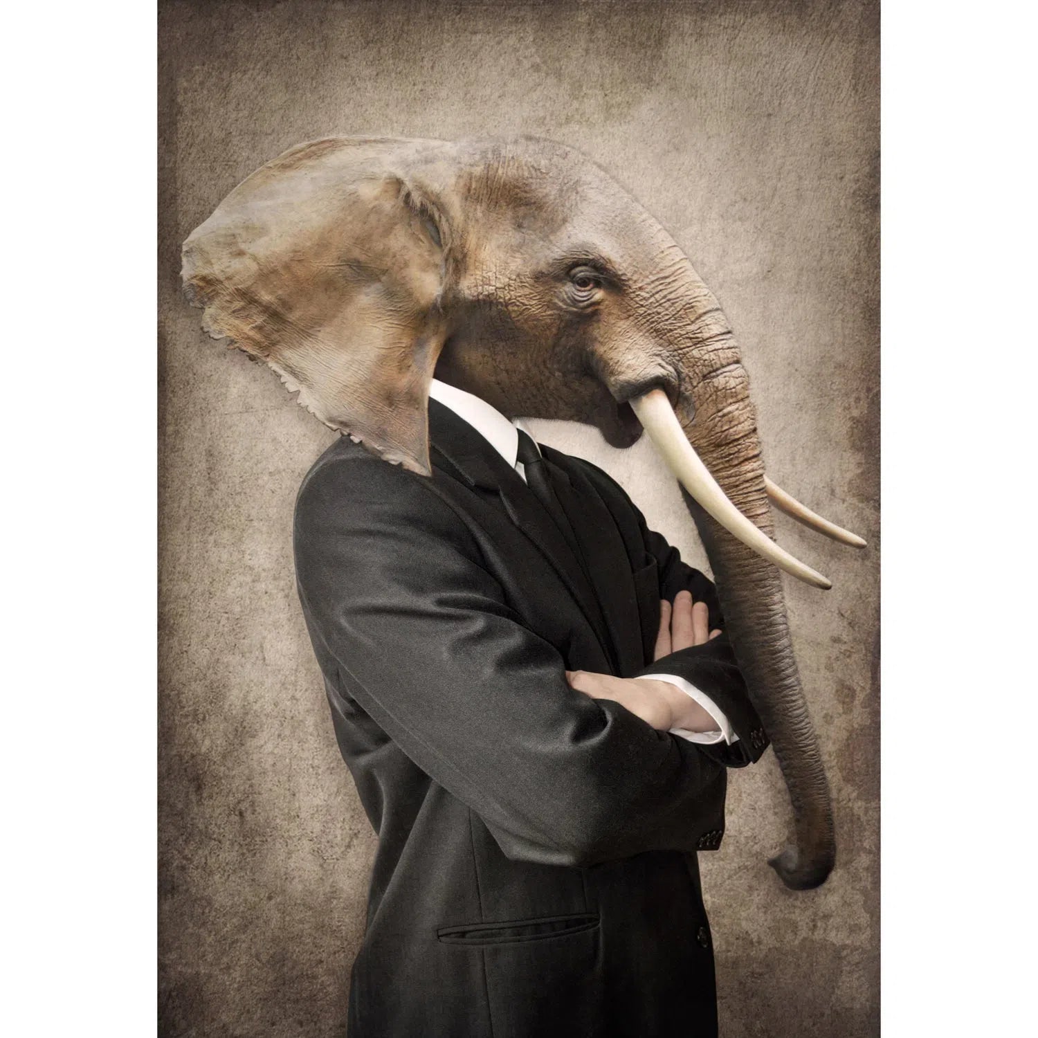 Elephant costumé-Imagesdartistes