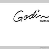 Godin guitars-Imagesdartistes