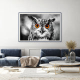 Hoo ho, said the owl