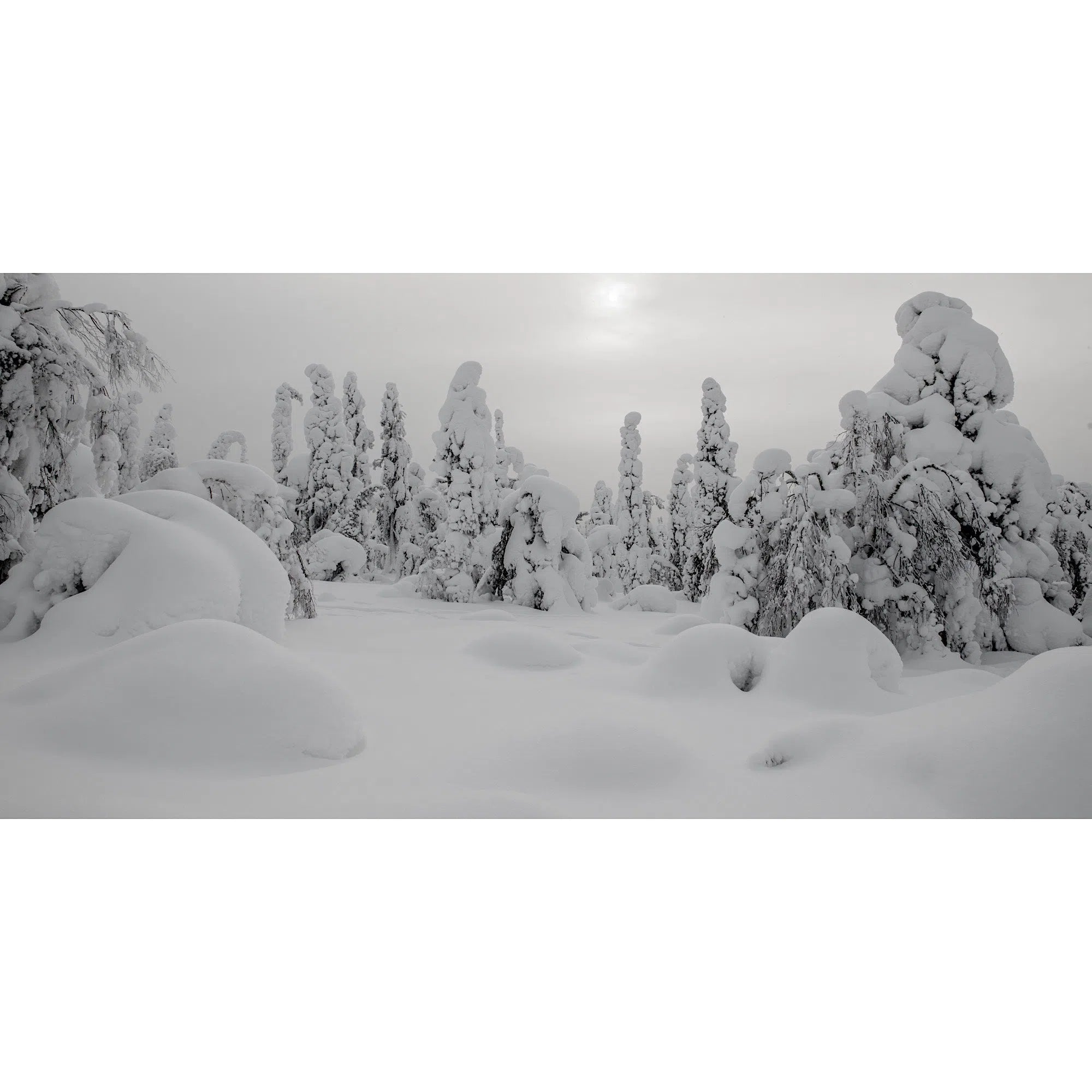 Immaculée Laponie-Imagesdartistes