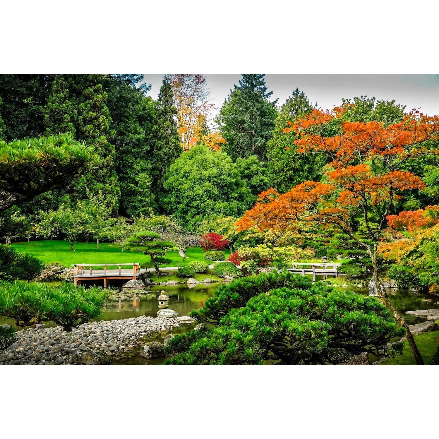 Jardin japonais-Imagesdartistes