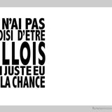 Je n'ai pas choisi d'être... lillois-Imagesdartistes