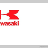 Kawasaki-Imagesdartistes
