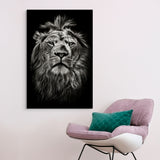 Le lion qui ne vous quitte pas des yeux !