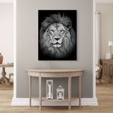 Lion aux petits yeux