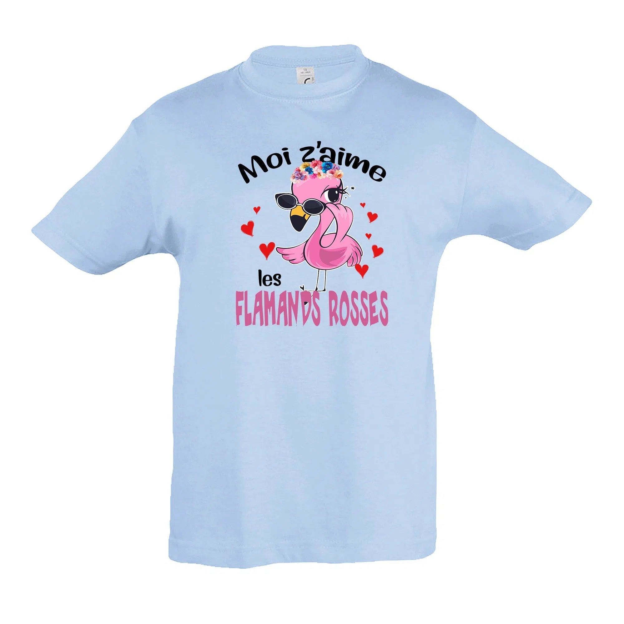 Moi z'aime les flamands rosses-Imagesdartistes