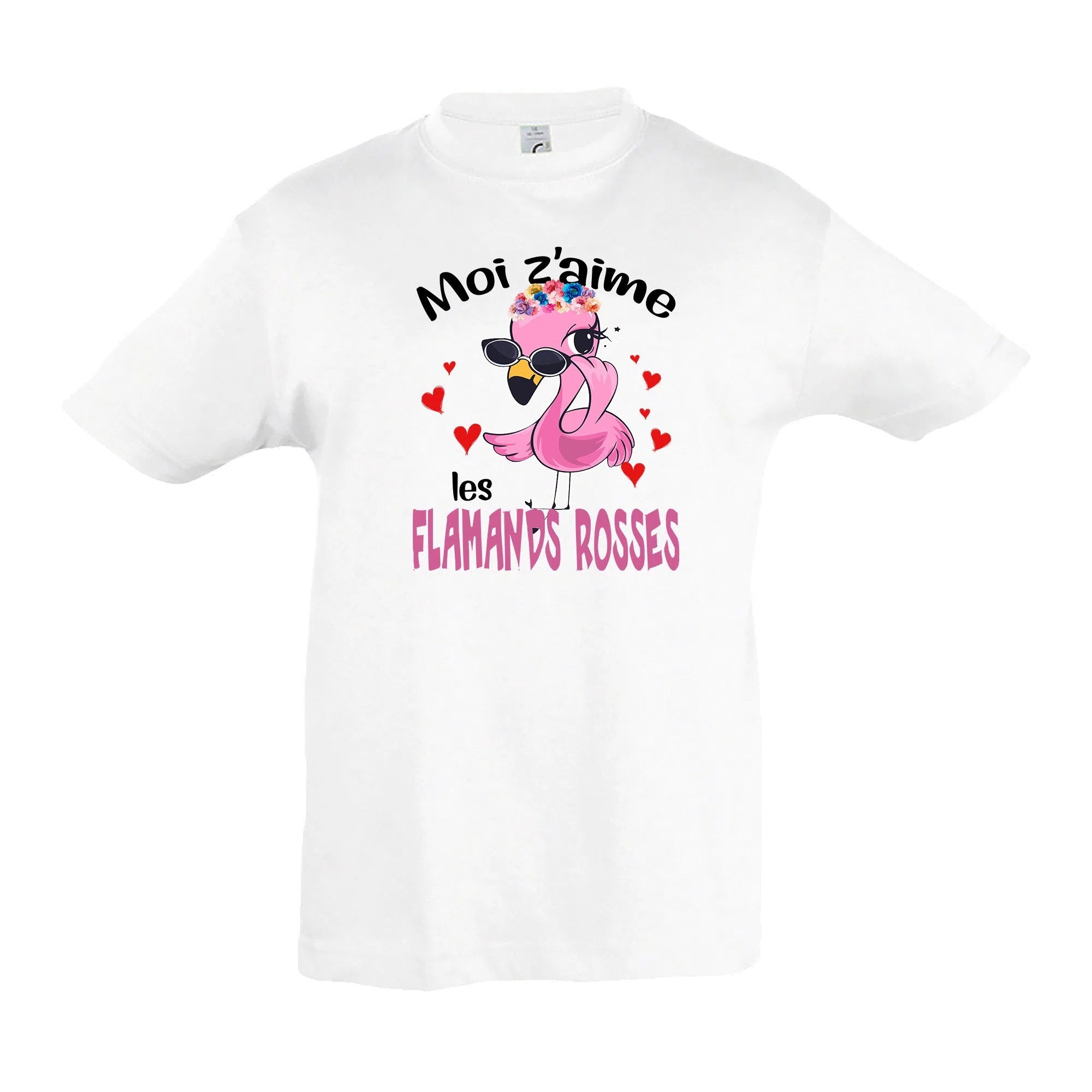 Moi z'aime les flamands rosses-Imagesdartistes