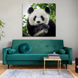 Panda géant