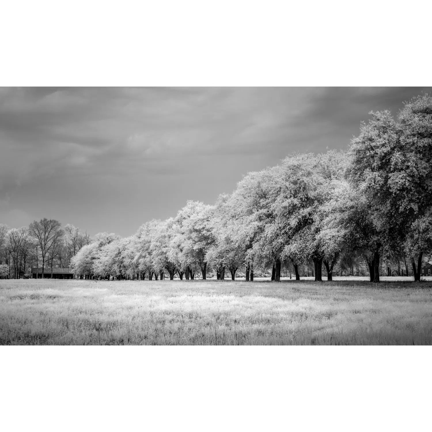 Alignement-Imagesdartistes