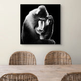 The thinking mandrill