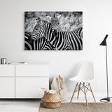 Zebra stripes