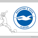 Brighton & Hove Albion Football Club