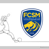 Football Club Sochaux-Montbéliard