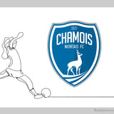 Chamois niortais Football Club - Niort