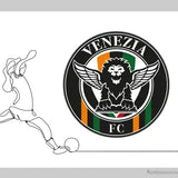 Venezia Football Club