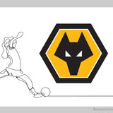 Wolverhampton Wanderers Football Club