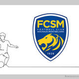 Football Club Sochaux-Montbéliard