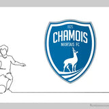 Chamois niortais Football Club - Niort