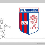 Unione Sportiva Vibonese Calcio