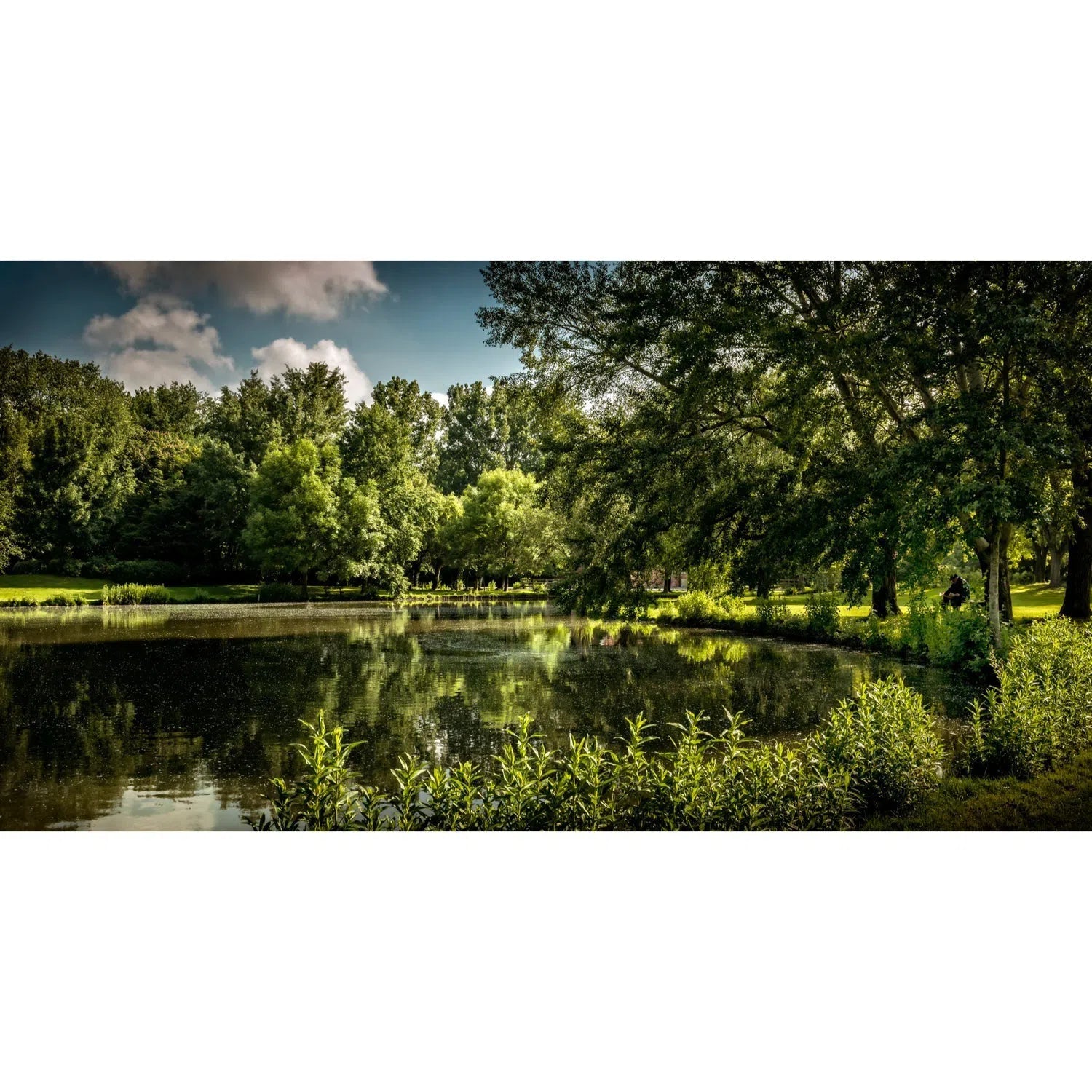 Etang du parc Les grandes prairies, près d'Arras-Imagesdartistes