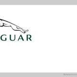 Jaguar-Imagesdartistes