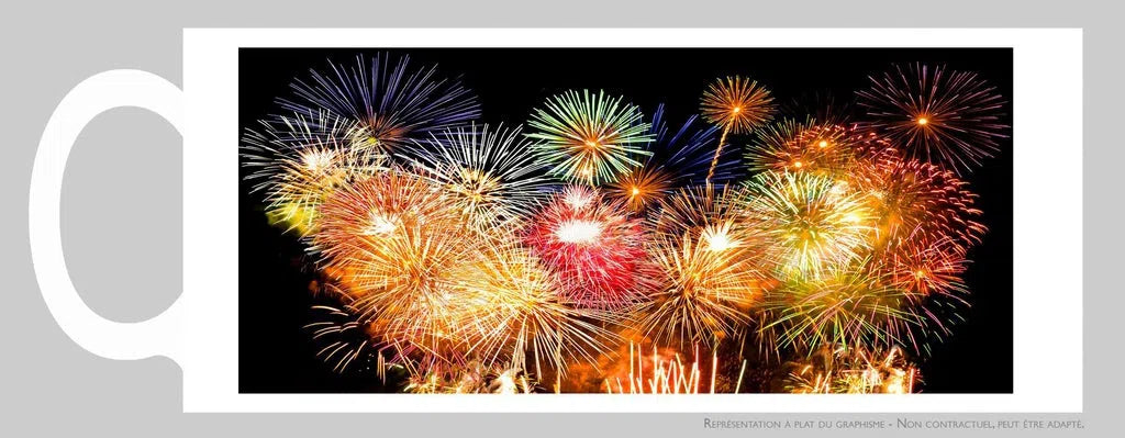 La vie est un feu d'artifice !-Imagesdartistes