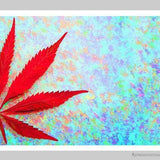 Feuille de Cannabis-Imagesdartistes