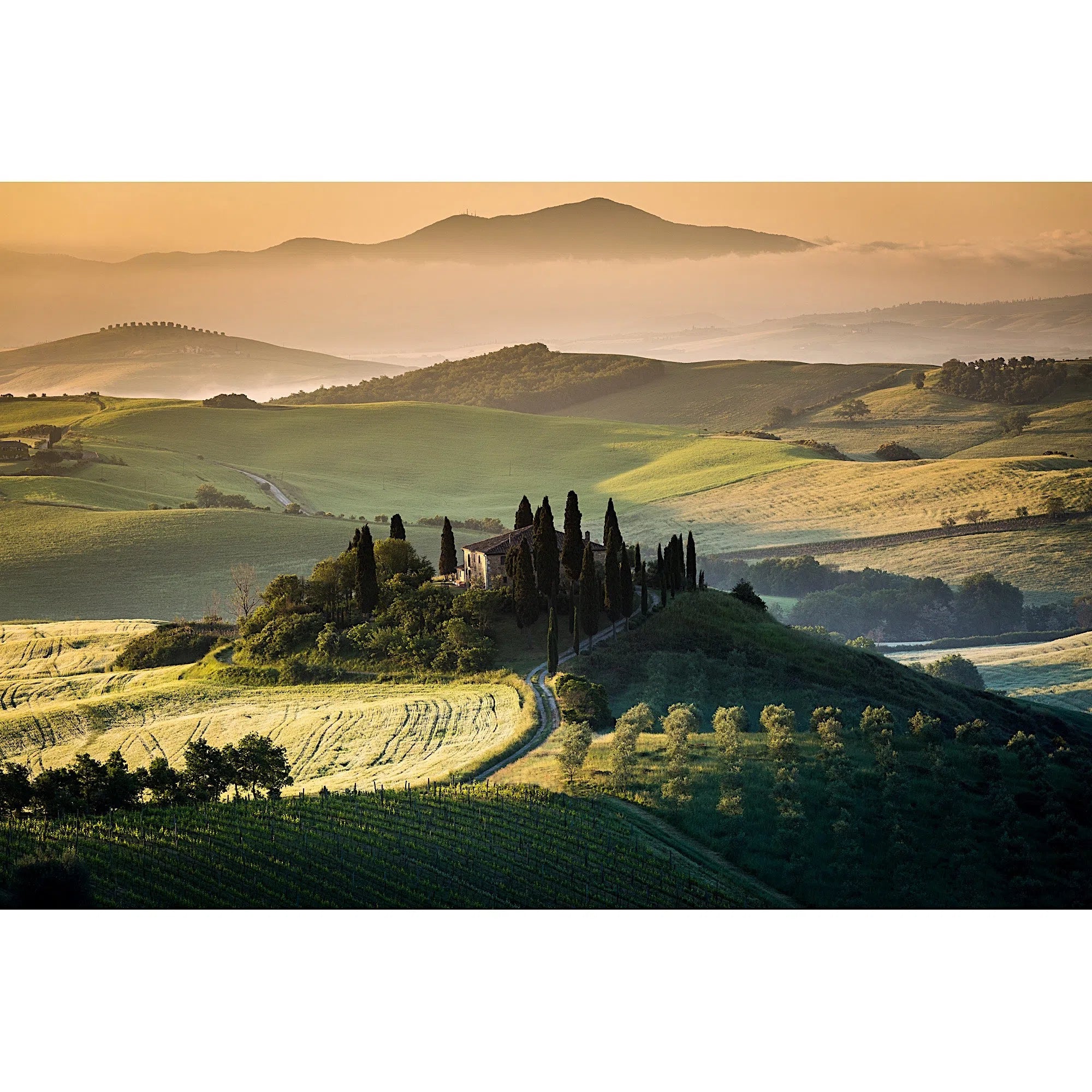 Paysage de Toscane-Imagesdartistes