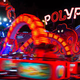 Polyp, la pieuvre-Imagesdartistes