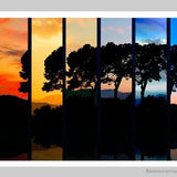 Trees in color-Imagesdartistes